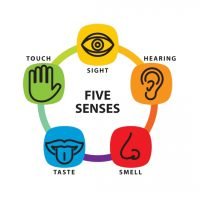 grounding_technique_trauma_five_senses